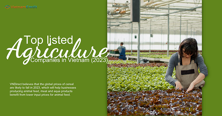 Top listed agriculure companies in Vietnam (2023)